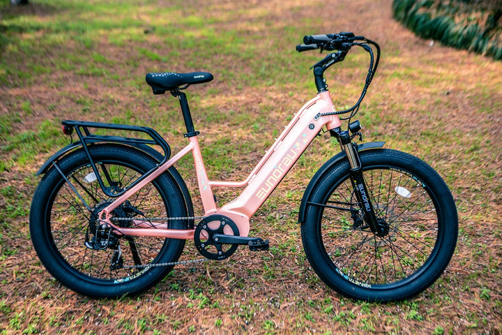 EUNORAU META24 1.0 City Commuter E-Bike