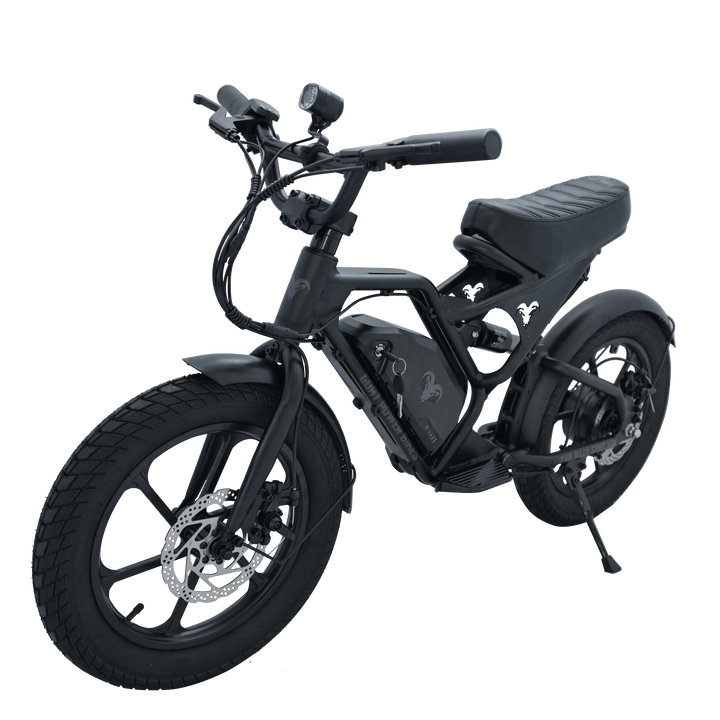 Billy Goat KD Kids Electric Bike Kids Electric Bikes 3