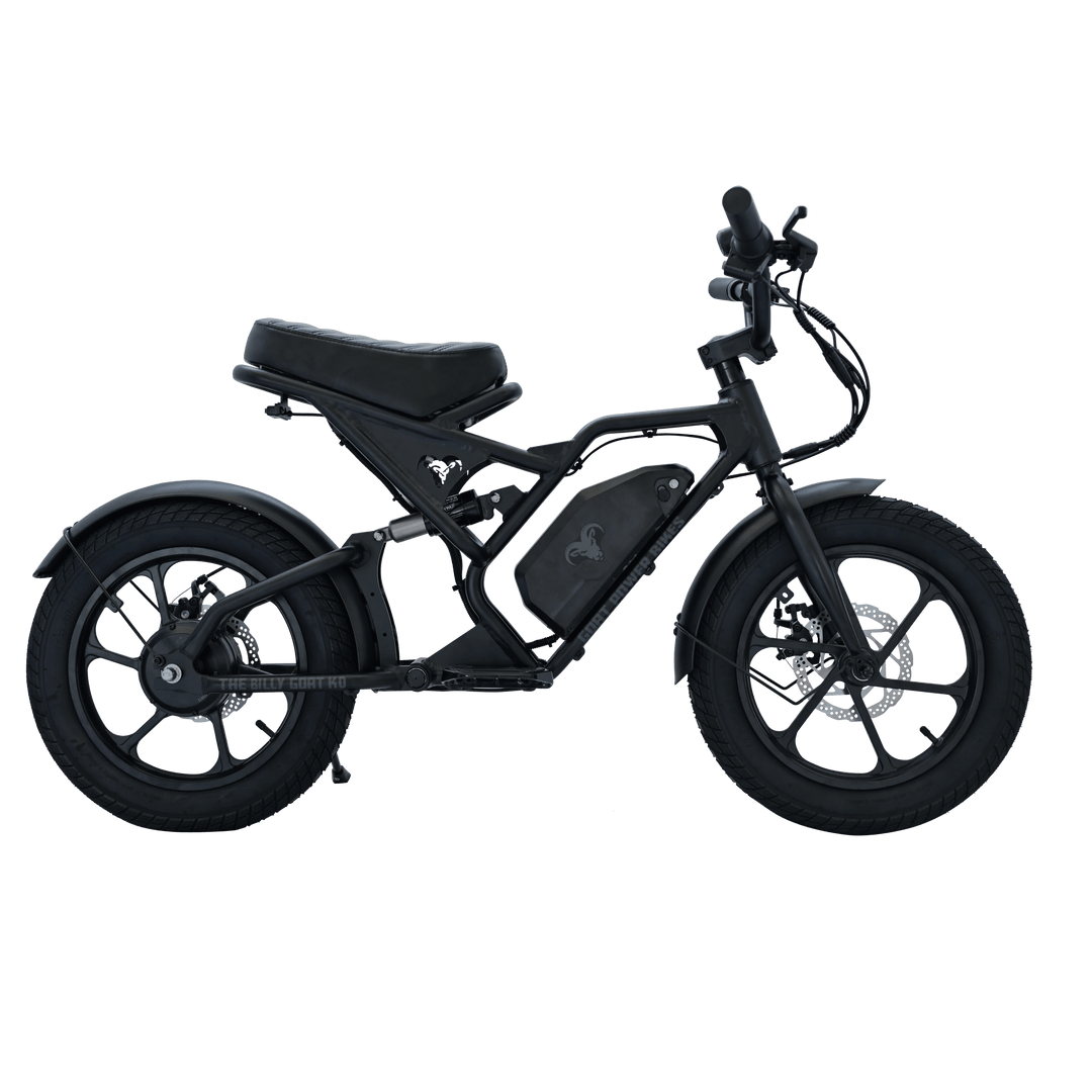 Billy Goat KD Kids Electric Bike Kids Electric Bikes 2