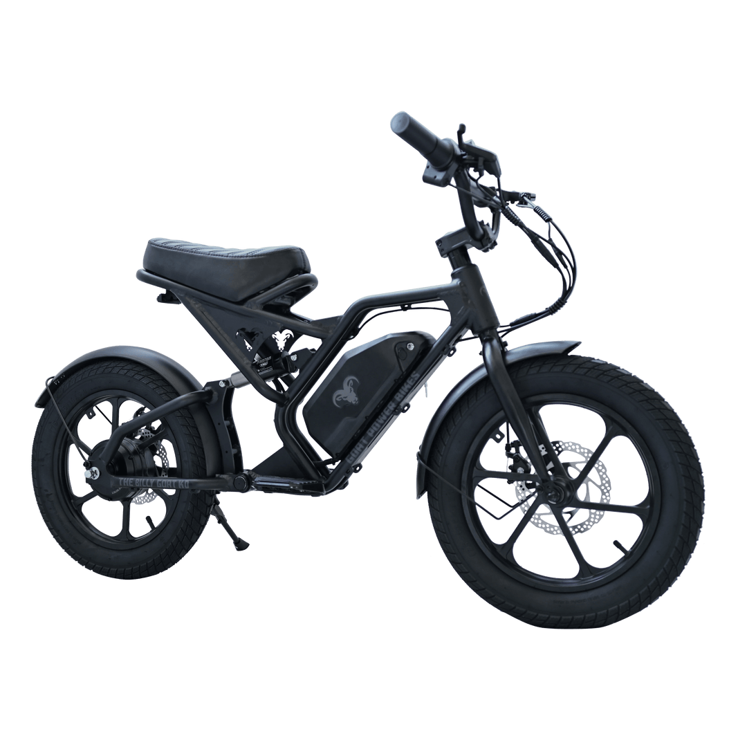 Billy Goat KD Kids Electric Bike Kids Electric Bikes 1