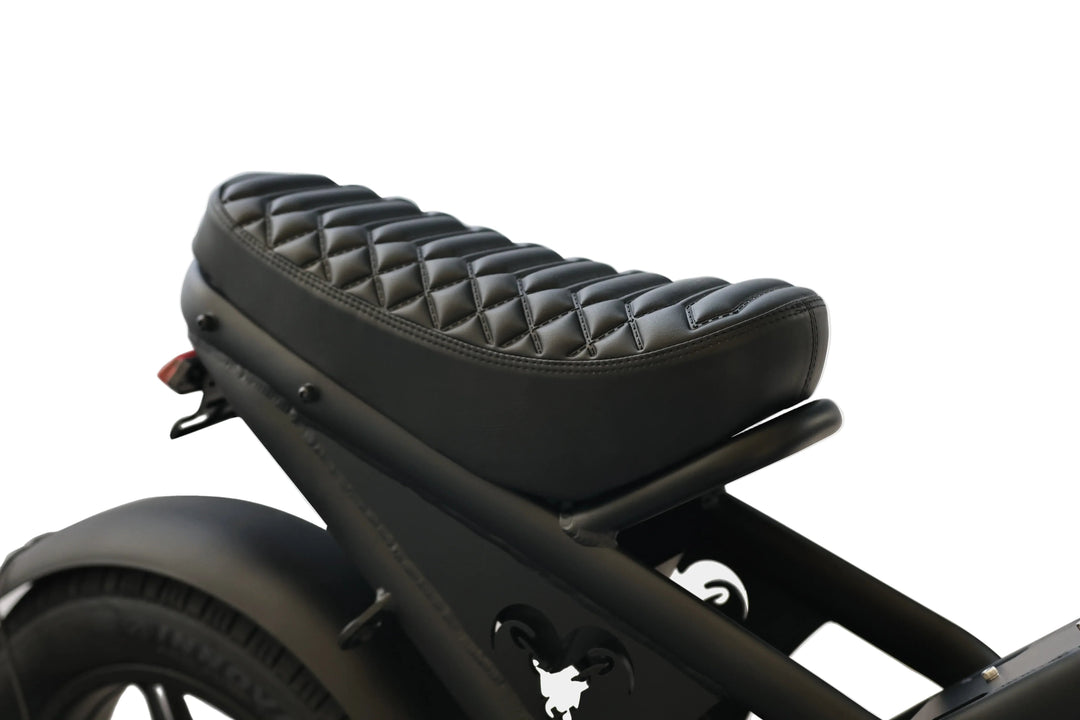 Billy Goat SL Street Legal Electric Bike Moped-Style Electric Bikes 8