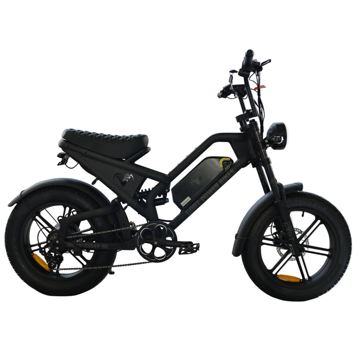 Billy Goat SL Street Legal Electric Bike Moped-Style Electric Bikes 4