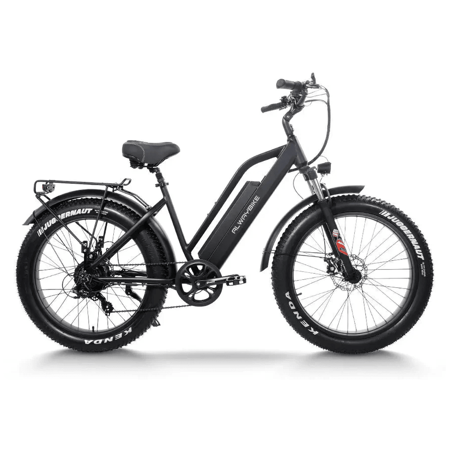 CEMOTO AEB31A City Commuter Ebike Fat Tire Electric Bike Mountain Electric Bikes 1