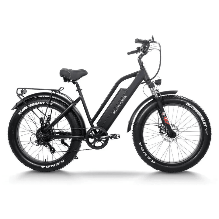 CEMOTO AEB31A City Commuter Ebike Fat Tire Electric Bike Mountain Electric Bikes 1