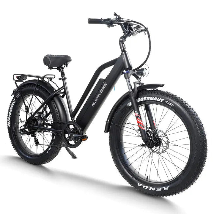 CEMOTO AEB31A City Commuter Ebike Fat Tire Electric Bike Mountain Electric Bikes 2
