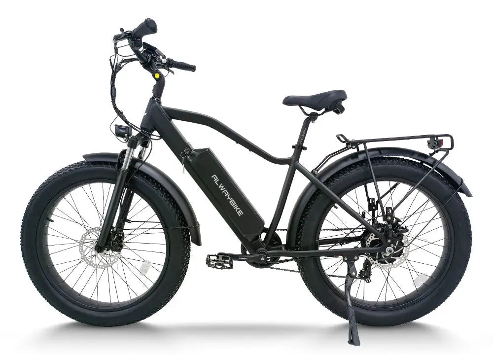 CEMOTO EB28A High Step Fat Tire Ebike 750W 28MPH 48V 80 Mile Range Mountain Electric Bikes 3