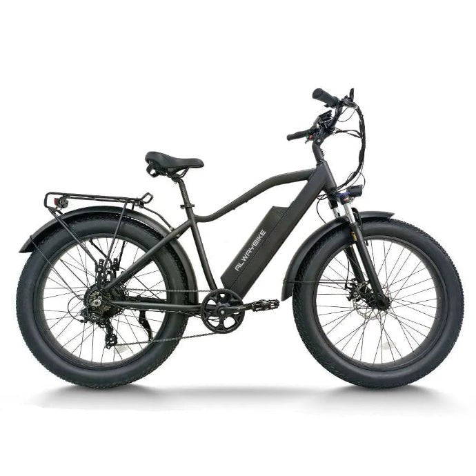 CEMOTO EB28A High Step Fat Tire Ebike 750W 28MPH 48V 80 Mile Range Mountain Electric Bikes 1