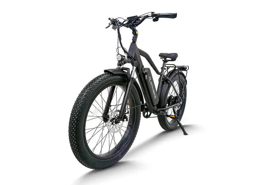 CEMOTO EB28A High Step Fat Tire Ebike 750W 28MPH 48V 80 Mile Range Mountain Electric Bikes 4