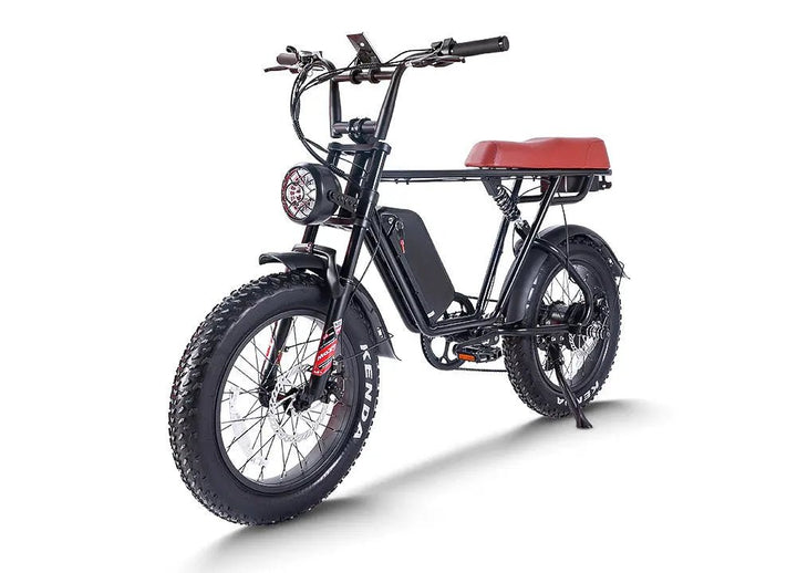 CEMOTO EB66 750W Harley-Style Fat Tire Ebike 48V Dual Battery Option Mountain Electric Bikes 48V15AH*1 3
