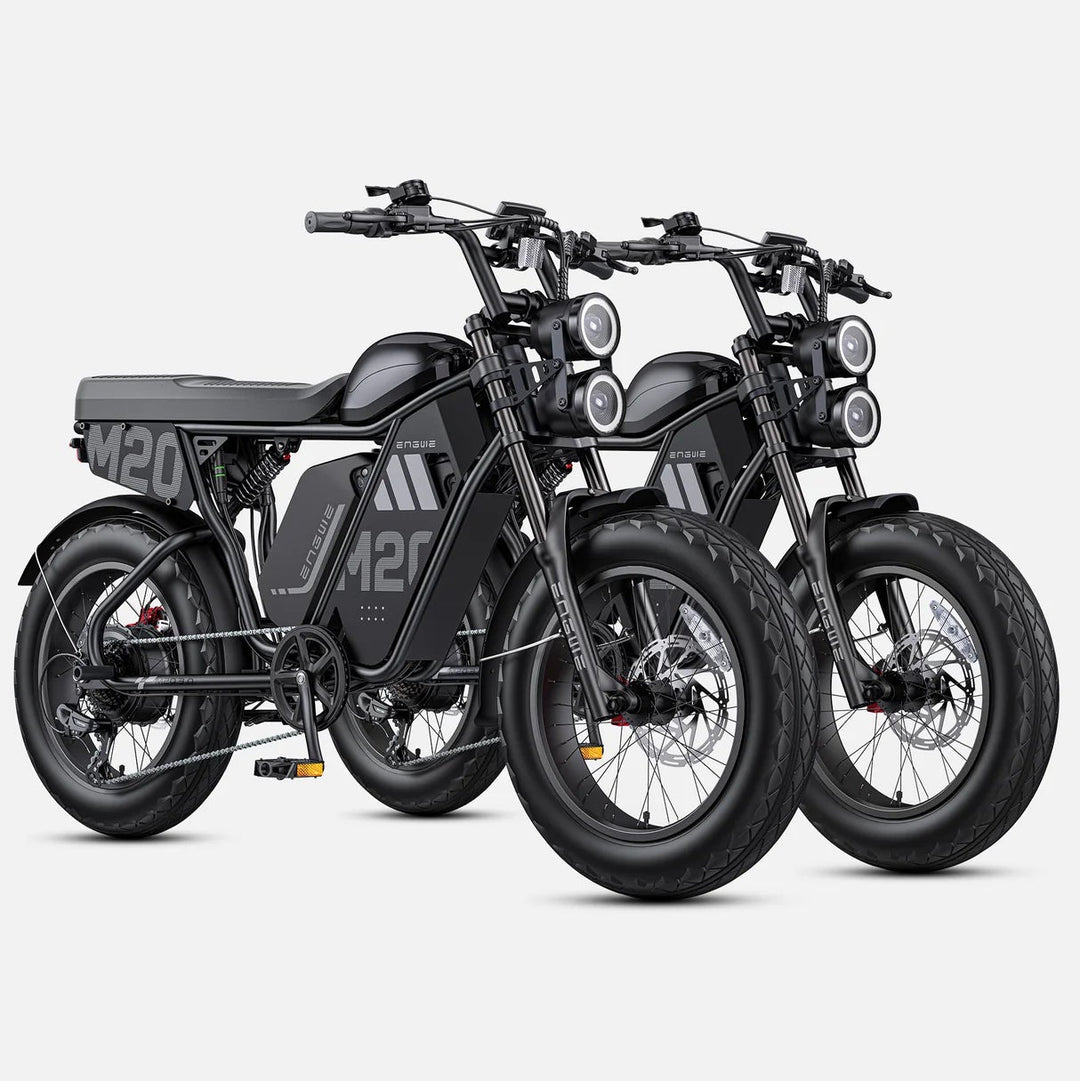 ENGWE M20 3.0|  3300W Moped-Style E-Bike- Combo
