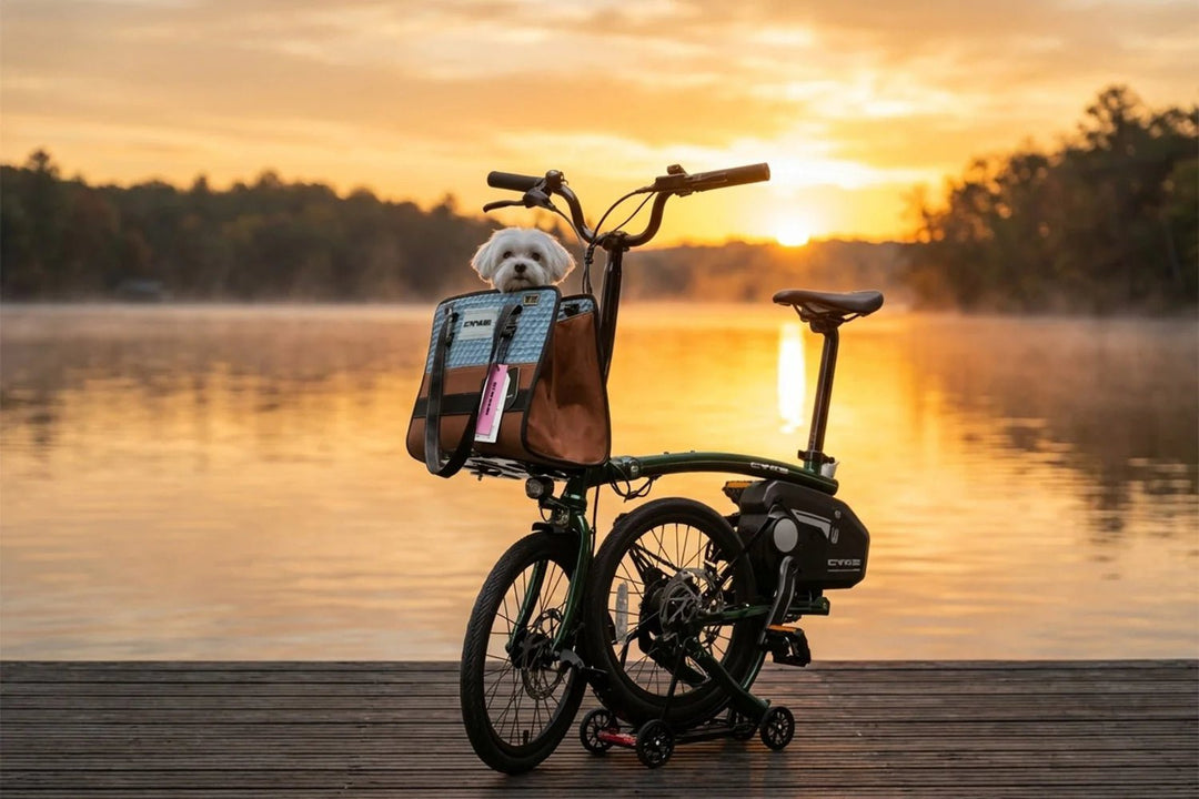 CYKE Kingfisher Mid-Drive Folding eBike Folding Electric Bikes Black 15