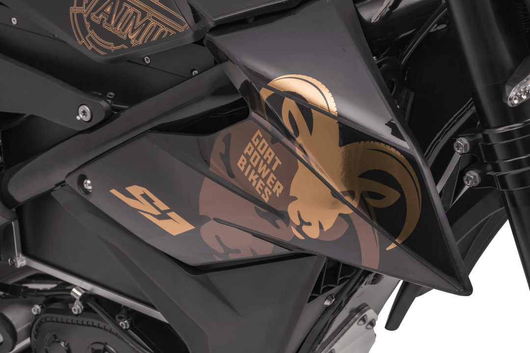 Dirt Goat 96V V3 Dirt Electric Bikes 14