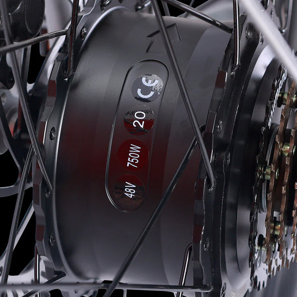 Conquer Any Terrain with Our 750W Motor 