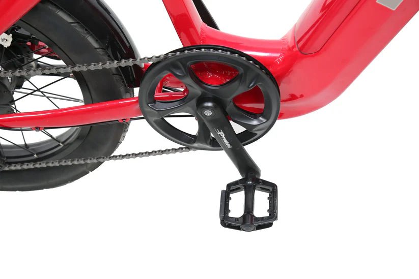 eJOE ACE ST Utility EBike Utility Electric Bikes 11