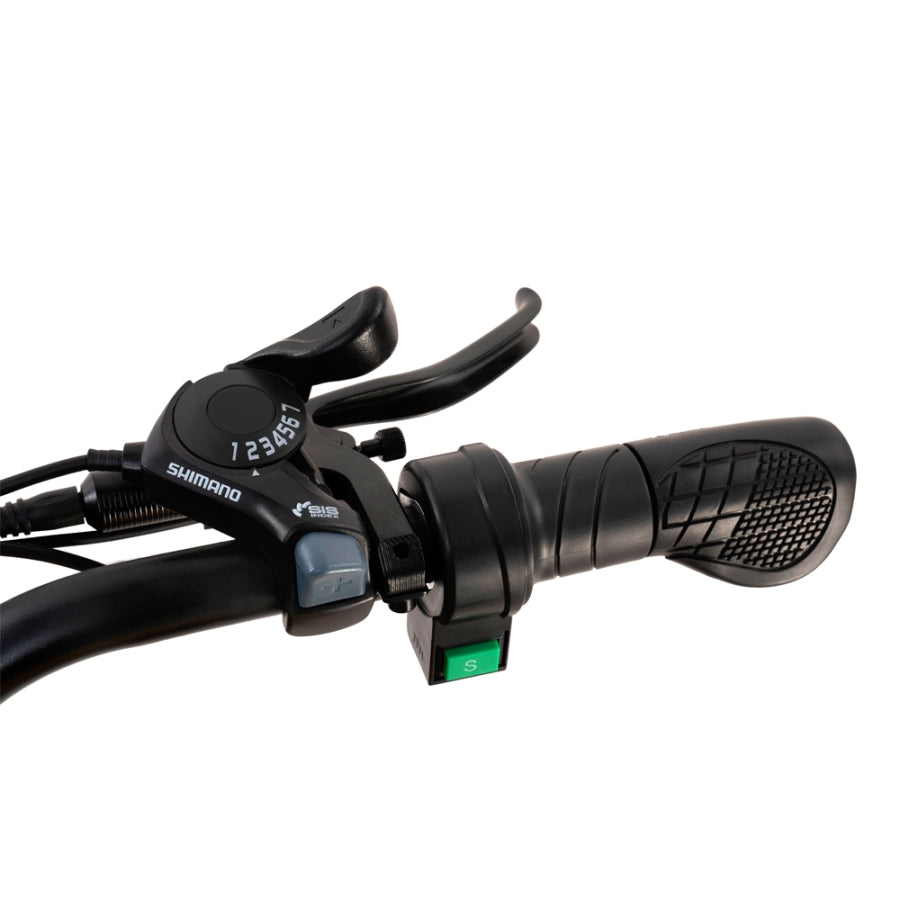 HappyRun G100 Electric Bike with 2000W Dual Battery 80-Mile Range
