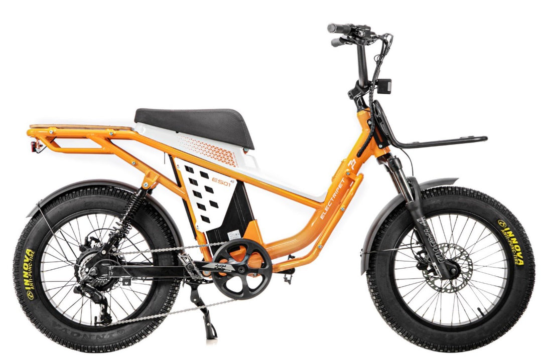 ES 01 Electric Fat Tire Bike - 750W Motor, Long-Range Battery Electric Bikes Green 1