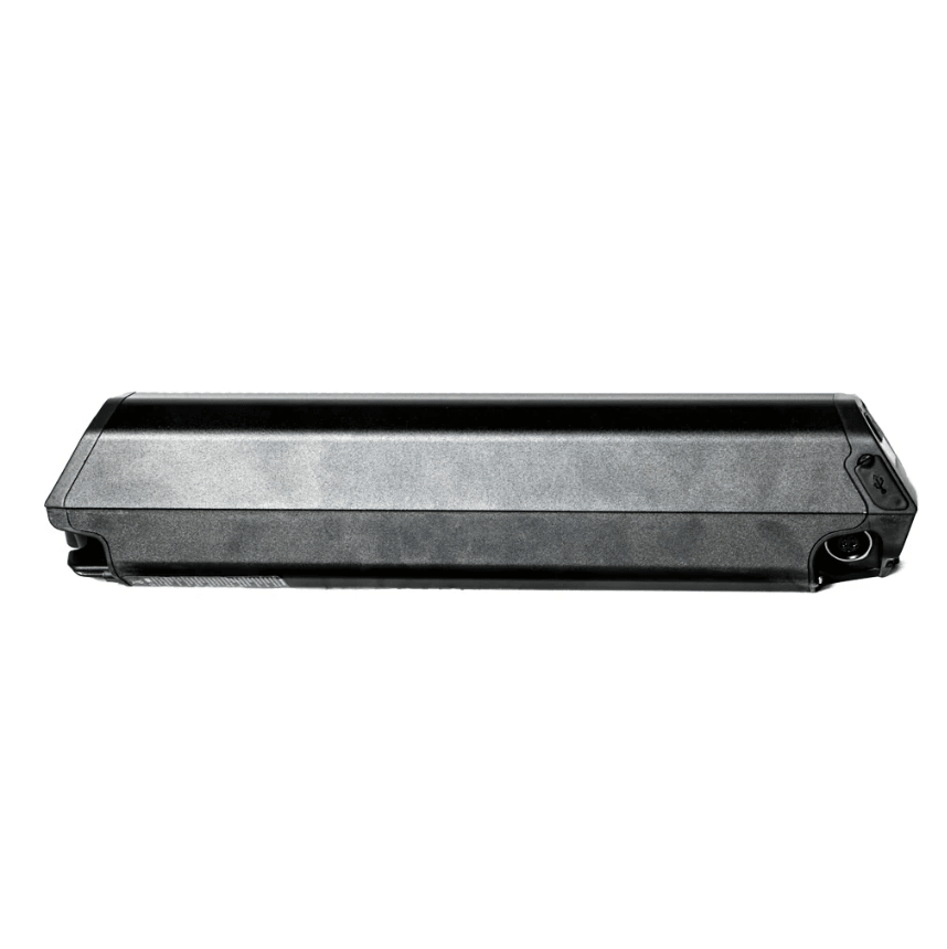 EUNORAU 48V25Ah Reention Dorado ID-MAX Case Battery Batteries 48V 25AH 4