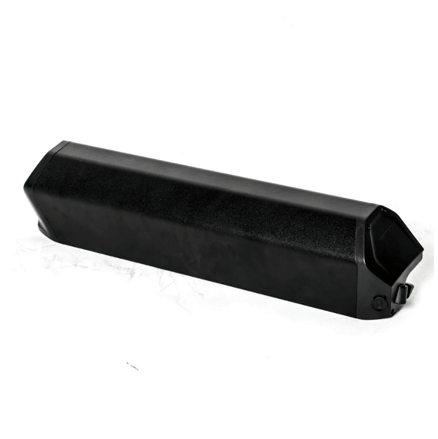 EUNORAU 48V25Ah Reention Dorado ID-MAX Case Battery Batteries 48V 25AH 6