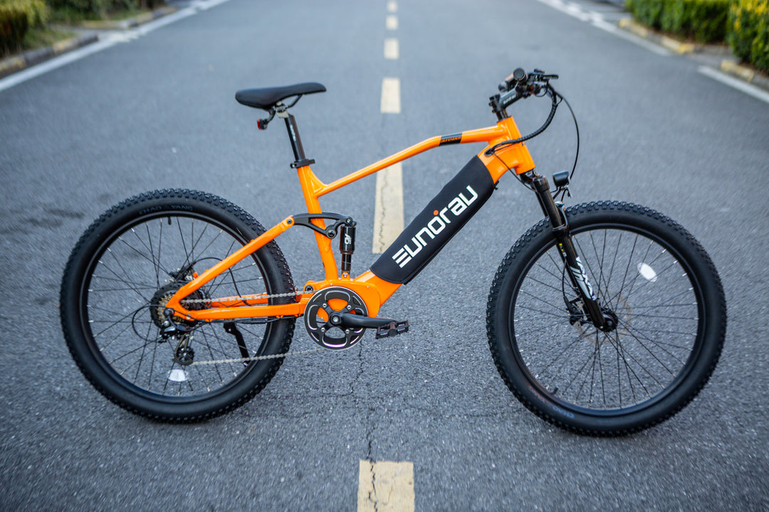EUNORAU DEFENDER Fat Tire Electric Mountain bike (eMTB) Mountain Electric Bikes Army Green 5