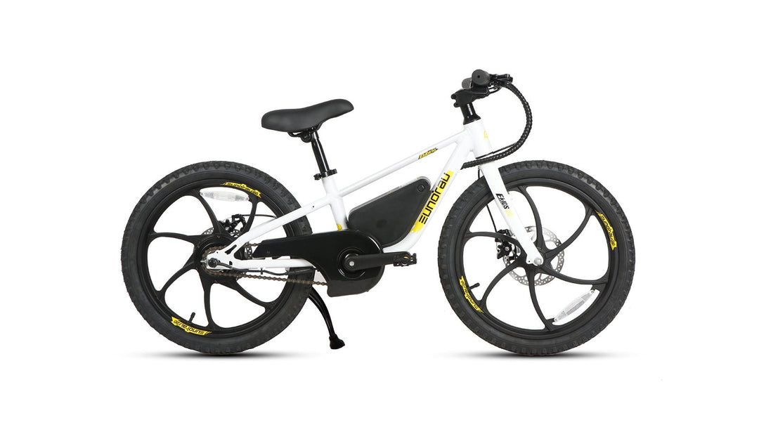 EUNORAU EKIDS-20 1.0 Kids EBike Kids Electric Bikes Graphite 11