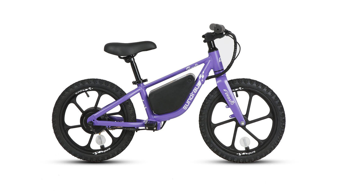 EUNORAU EKIDS16 1.0 Kids Balance EBike Kids Electric Bikes Obsidian 10