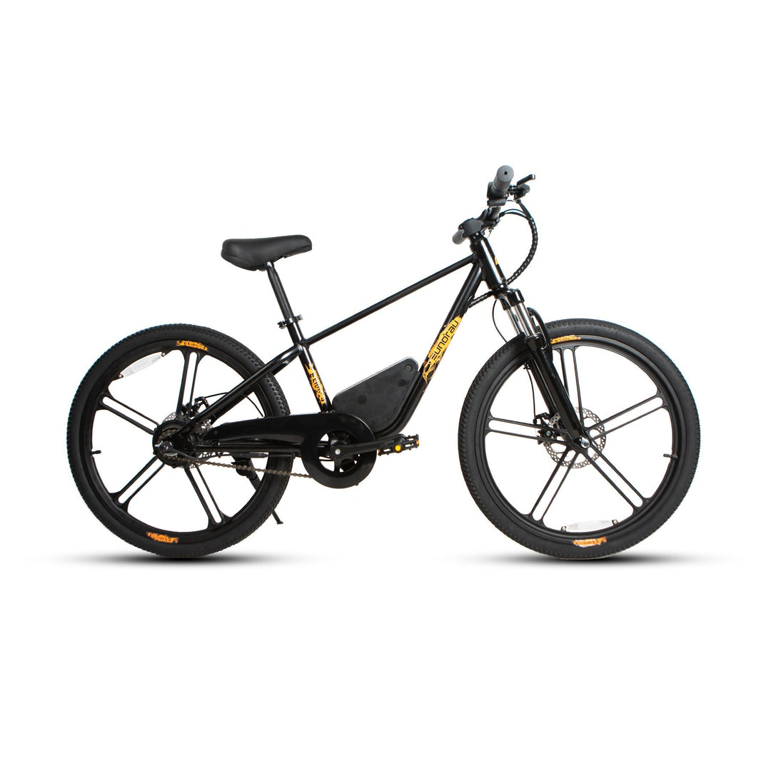 EUNORAU EKIDS24 1.0 Kids EBike Kids Electric Bikes Cloud White 8