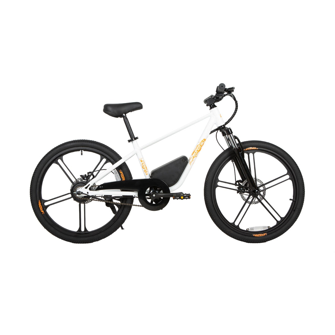 EUNORAU EKIDS24 1.0 Kids EBike Kids Electric Bikes Cloud White 10