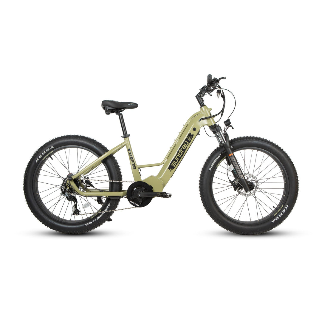 EUNORAU FAT-HD 2.0/Hunter X7 All Terrain Hunting&Fishing Mountain EBike Mountain Electric Bikes Safari 7