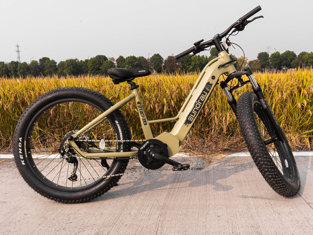 EUNORAU FAT-HD 2.0/Hunter X7 All Terrain Hunting&Fishing Mountain EBike Mountain Electric Bikes Safari 3