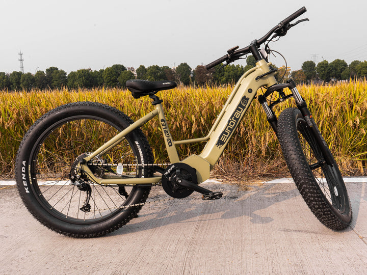 EUNORAU FAT-HD 2.0/Hunter X7 All Terrain Hunting&Fishing Mountain EBike Mountain Electric Bikes Safari 3