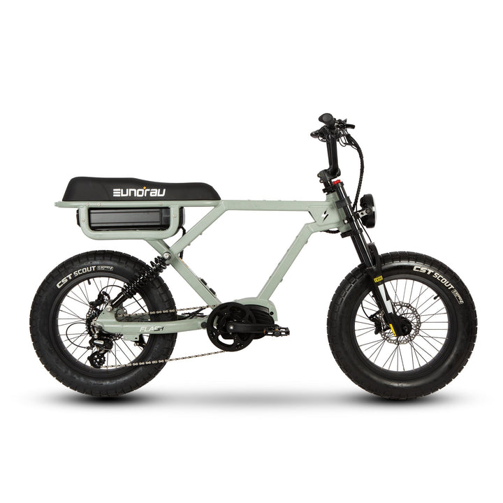 EUNORAU FLASH 2.0 Long Range City Commuter EBike Commuter Electric Bikes Moon Black 7