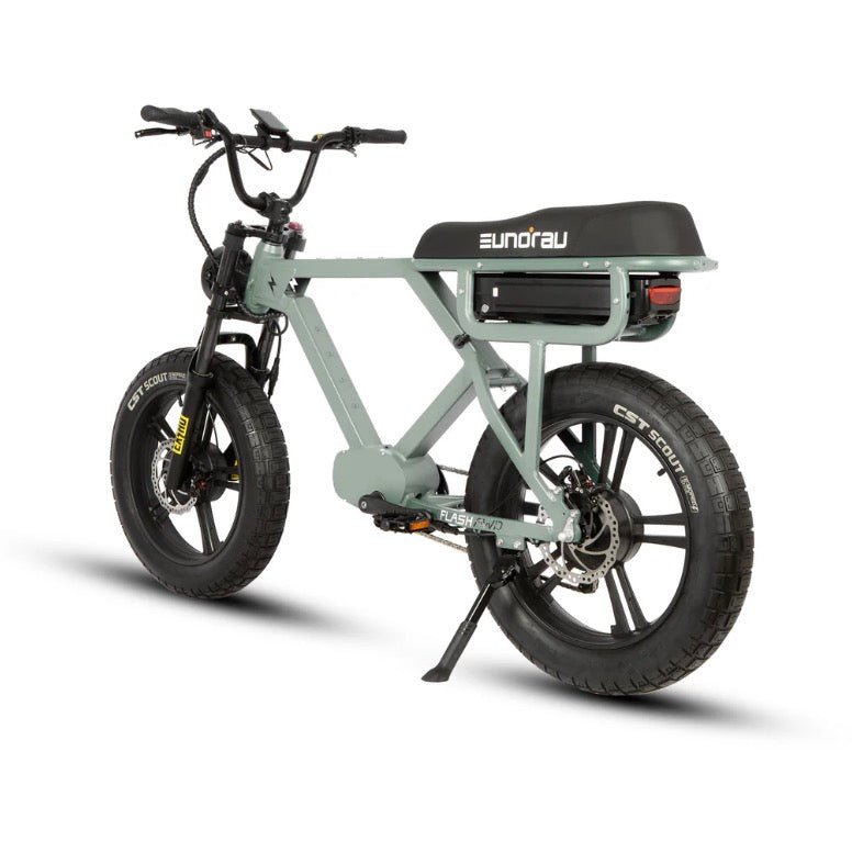 EUNORAU FLASH AWD 1.0 Dual Battery Commuter Fat tire Ebike Commuter Electric Bikes Lunar Dust 10