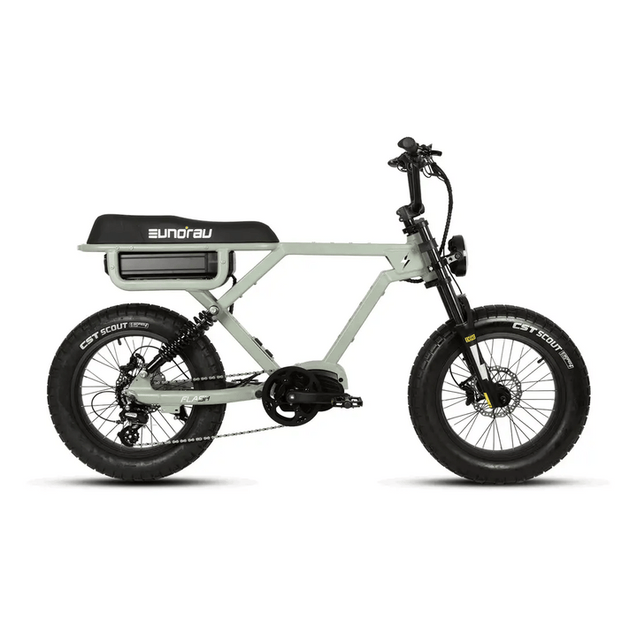 EUNORAU FLASH AWD 1.0 Dual Battery Commuter Fat tire Ebike Commuter Electric Bikes Lunar Dust 6