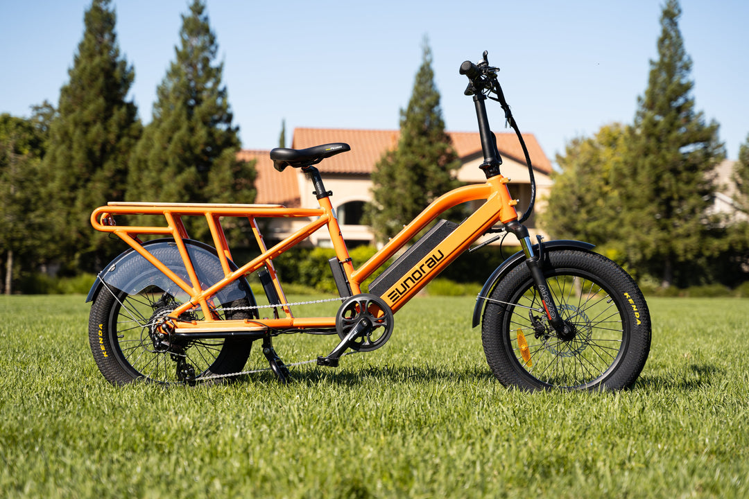 EUNORAU G30-CARGO 2.0 Commuter Cargo Fat Tire EBike Cargo Electric Bikes Yellow 16