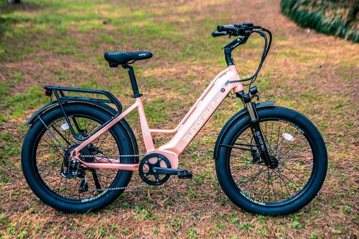 EUNORAU META24 1.0 City Commuter Fat Tire E-Bike Commuter Electric Bikes Deep Crimson 3