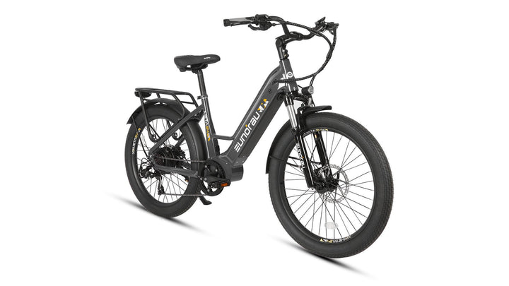 EUNORAU META24 1.0 City Commuter Fat Tire E-Bike Commuter Electric Bikes Deep Crimson 21