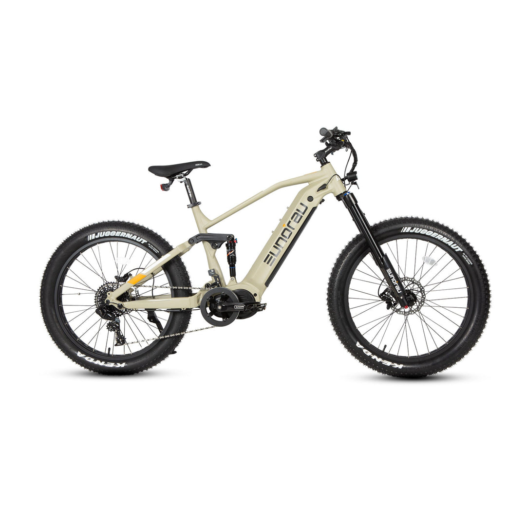 EUNORAU SPECTER-S 3.0 / Hunter X9 Hunting Fat Tire E-Bike Mountain Electric Bikes Army Green 1
