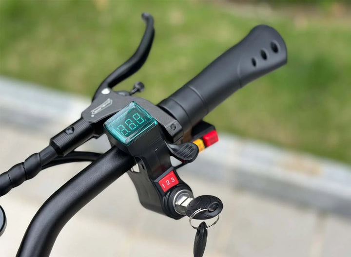 Freego D11 Landtiger Electric Scooter Foldable Dual Motor 4000W Freego Electric Scooters D11 (60V 26Ah) 9