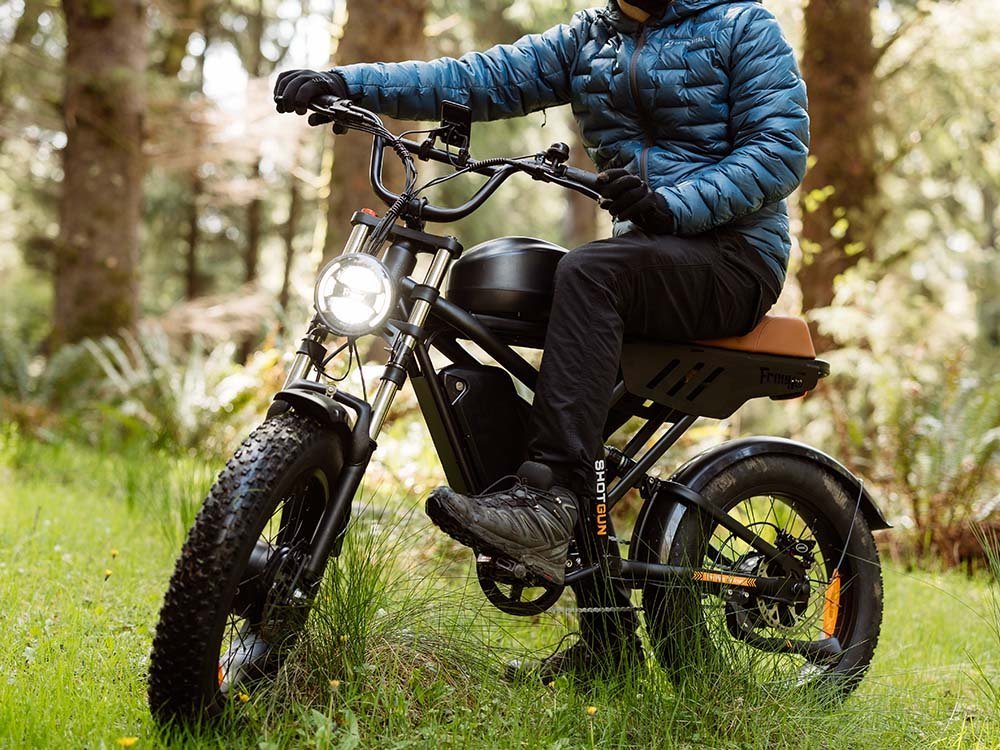 Freego Flash F3 Pro Max Dual Motor and Battery eBike Freego Fat Tire Electric Bikes Free 2-Year 6