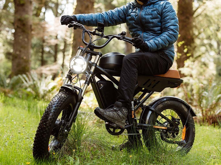 Freego Flash F3 Pro Max Dual Motor and Battery eBike Freego Fat Tire Electric Bikes Free 2-Year 6
