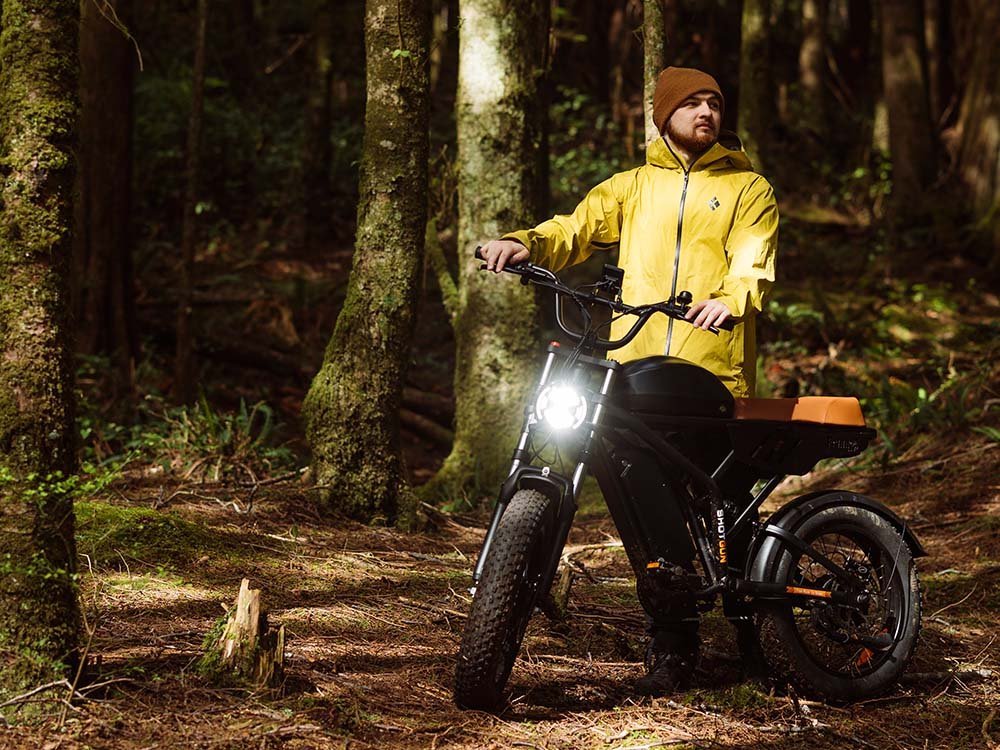 Freego Flash F3 Pro Max Dual Motor and Battery eBike Freego Fat Tire Electric Bikes Free 2-Year 7