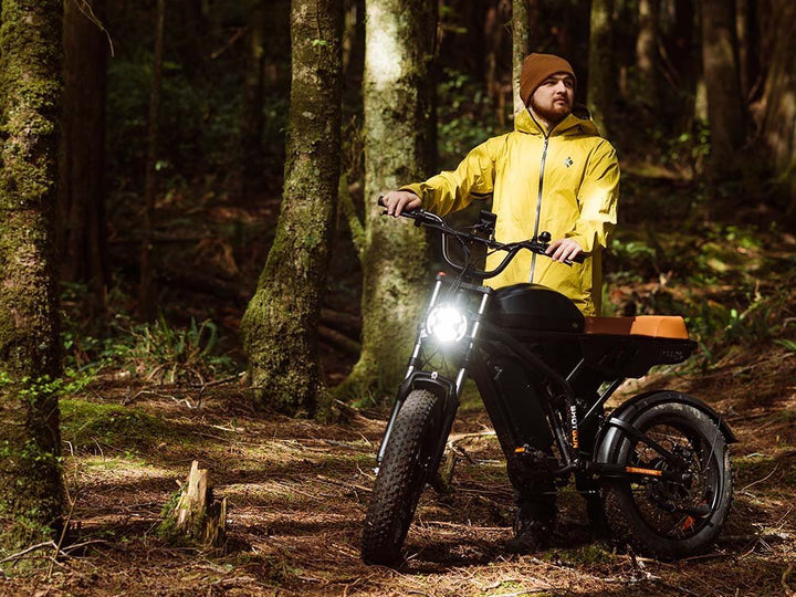 Freego Flash F3 Pro Max Dual Motor and Battery eBike Freego Fat Tire Electric Bikes Free 2-Year 7