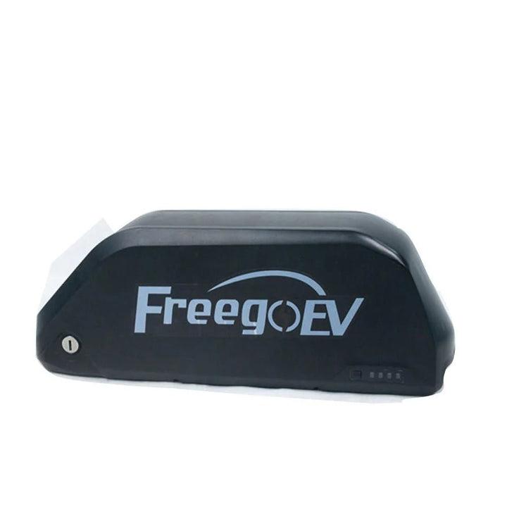 Freego Lithium Battery Pack for Freego electric bikes Freego Batteries F0 1