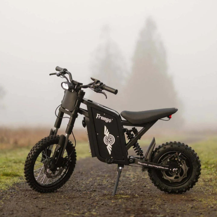 Freego X0 Electric Mini Bike for Teens and Adults Freego Dirt E-Bike Free 2-Year 24