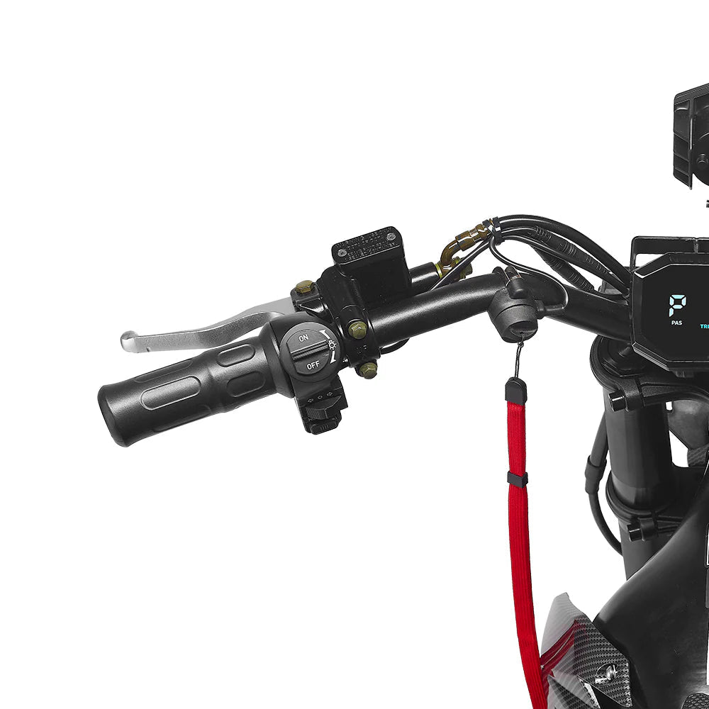 HappyRun F18 2.0 Electric Dirt Bike Dirt Electric Bikes Black 9