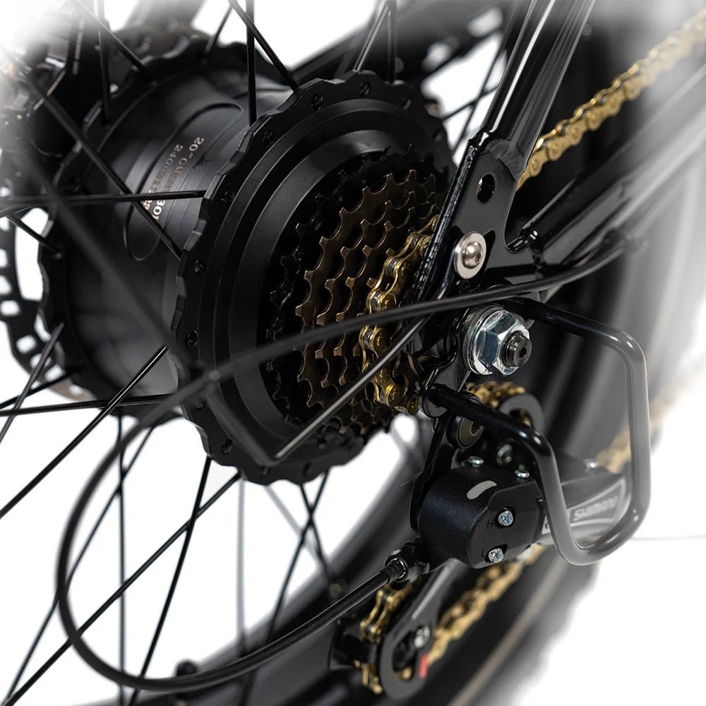 HappyRun G70 Full Suspension, Fat Tire,Two-Seater Fast E-Cargo Bike