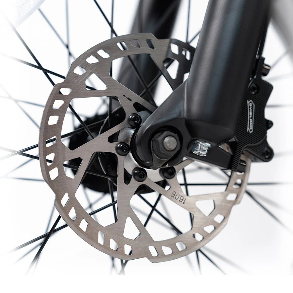 HappyRun G70 Full Suspension, Fat Tire,Two-Seater Fast E-Cargo Bike
