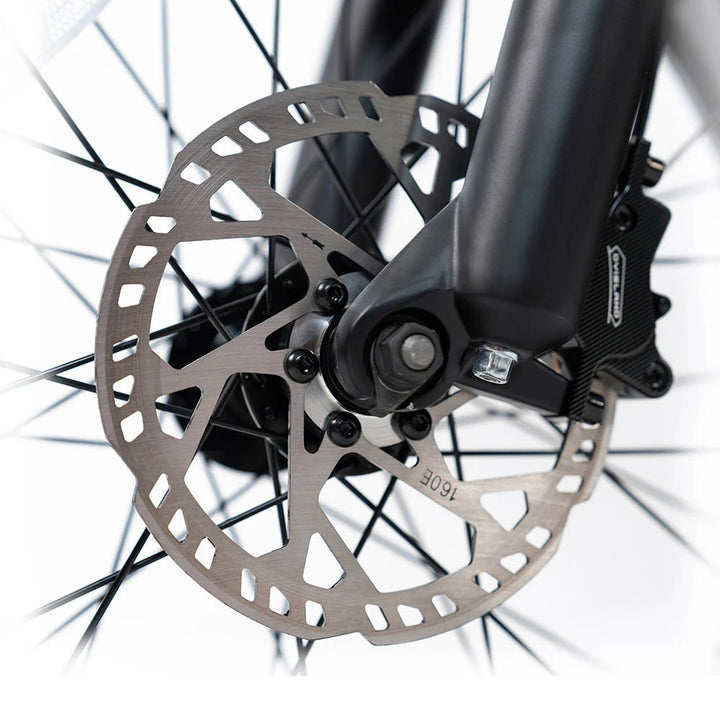 HappyRun G70 Full Suspension, Fat Tire,Two-Seater Fast E-Cargo Bike