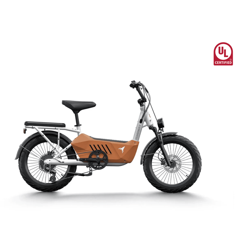 Himiway C3 Cargo Electric Bike Orange 2
