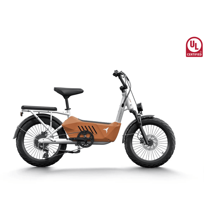 Himiway C3 Cargo Electric Bike Orange 2